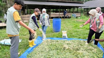 Simulasi Teknologi Fermentasi dan Irigasi Tetes USK Bantu Pemulihan Pascabanjir di Bireuen